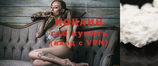 стаф Алзамай