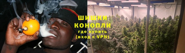 дурь Алексеевка