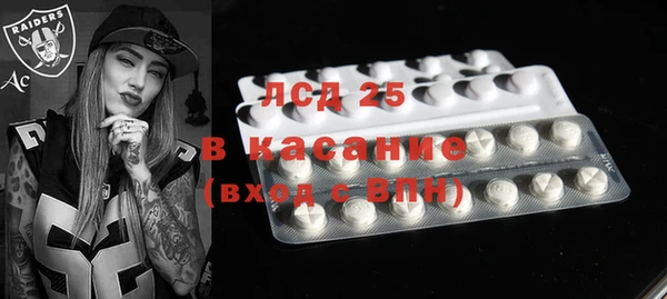 стаф Алзамай