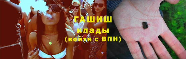 стаф Алзамай