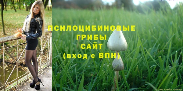 стаф Абдулино