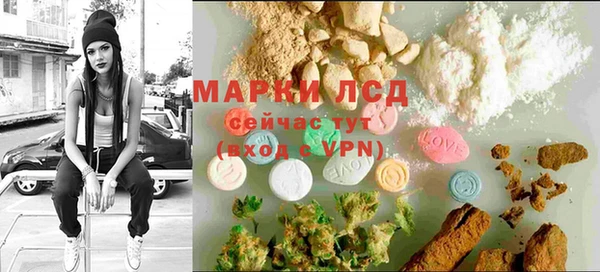 стаф Алзамай