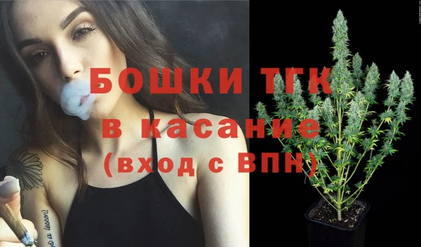 прущие крисы Аркадак
