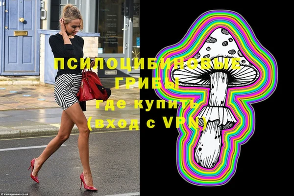 спиды Алексин