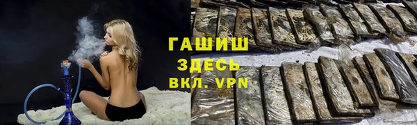 стаф Алзамай