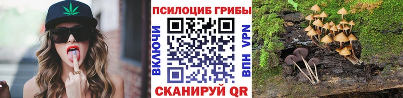 Псилоцибиновые грибы GOLDEN TEACHER  Тольятти 