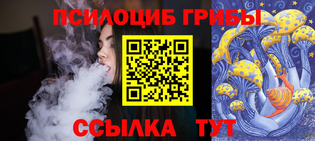 Псилоцибиновые грибы Cubensis Тольятти